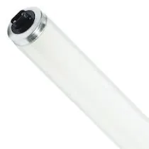 T12 Fluorescent