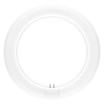 Ledvance LED Tube T9 Value Circular (EM/Mains) 11W 1200lm - 830 Warm White | Replaces 22W