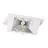 LED Downlight Wallwasher Wally Medium White 27W 3850lm 78x100D - 840 Cool White - 238x145mm